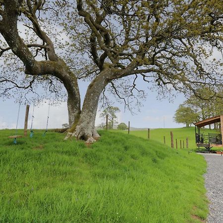 Willa Wild Acre Llangadog Zewnętrze zdjęcie